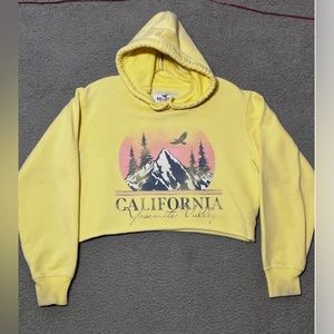 Cropped Hollister Hoodie
